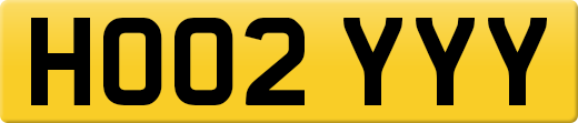 HO02YYY